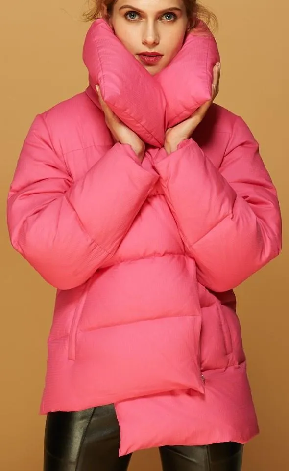 Large Collar Paneled Puffer Down Jacket in Pink