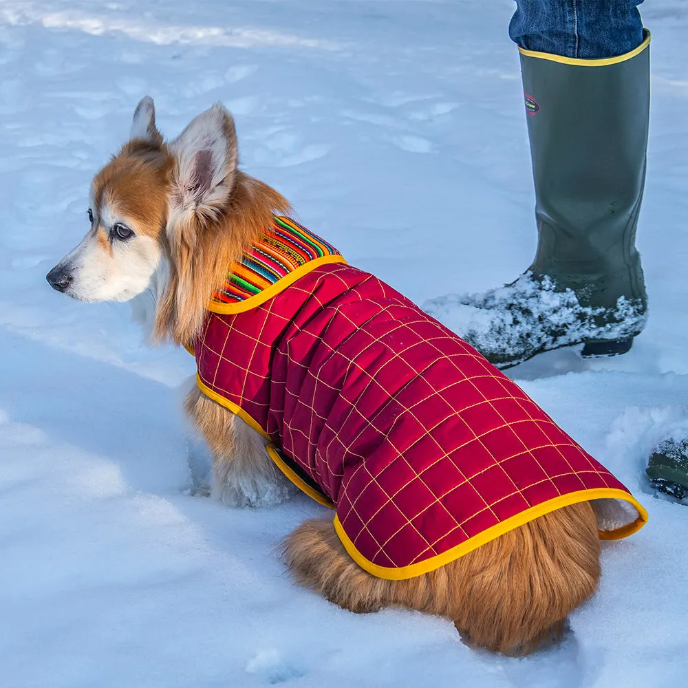 Paco & Lucia - Raymi Waterproof Dog Coat